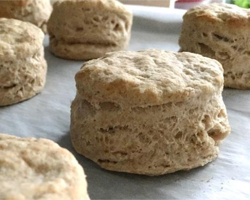 Read more about the article Biscuit Spelt
